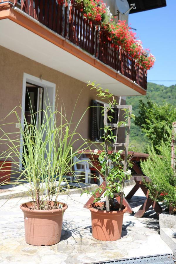 Apartment Mara Tolmin Esterno foto